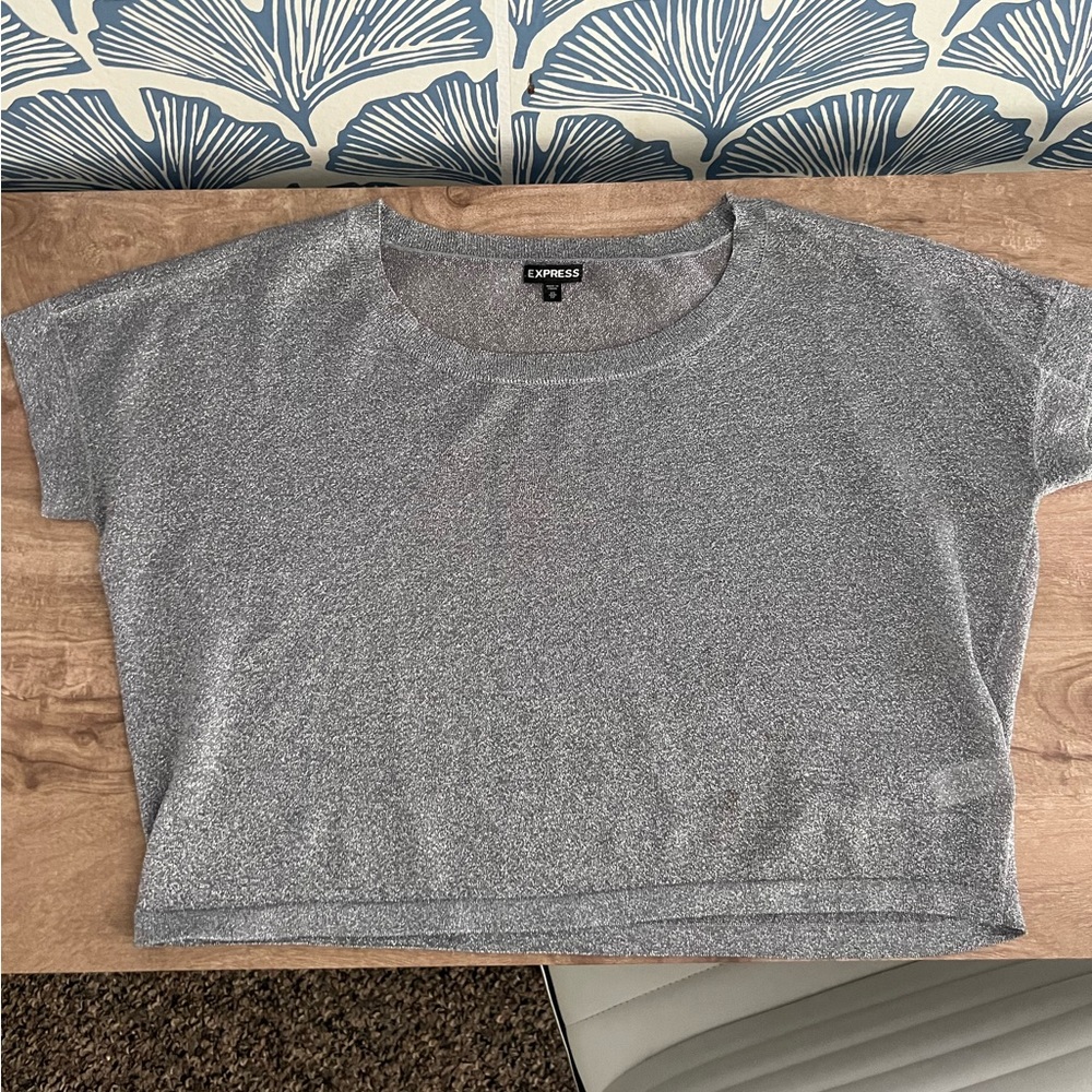 Express Silver sheer sparkle top